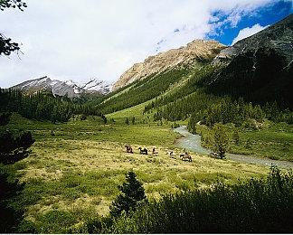 类银河恶魔城游戏《英灵士魂》跳票 6月2日发售