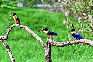 《银河战士：生存恐惧》宣传广告 10月8日直面威胁
