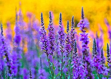 Bungie新作可能会是一款第三人称电子竞技游戏